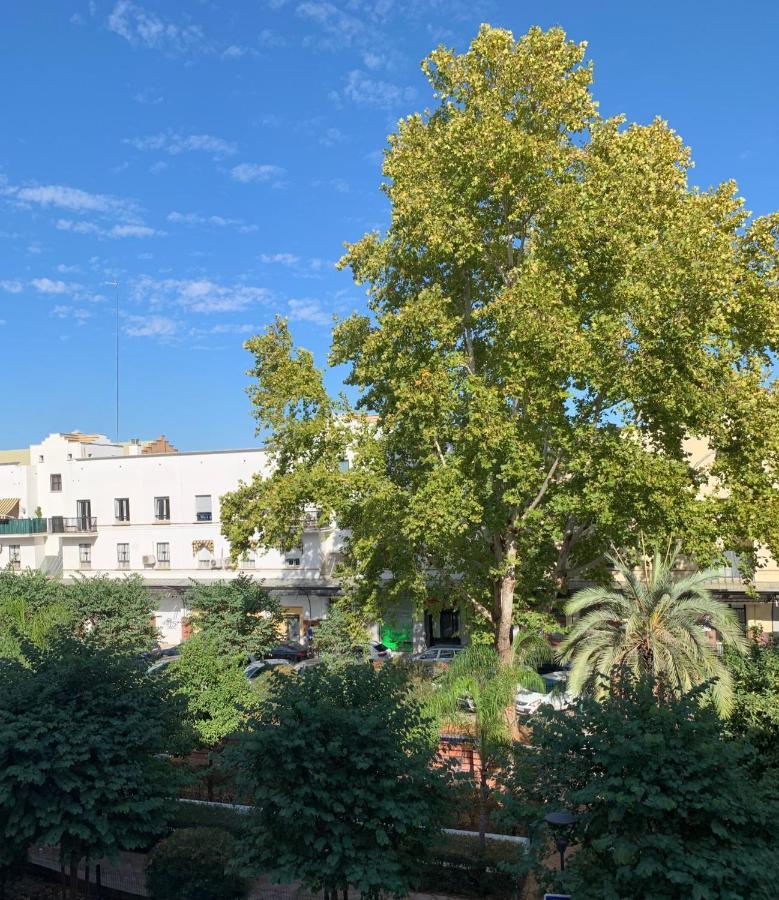 Acogedor Apartamento En Pleno Corazon De Triana Seville Exterior photo